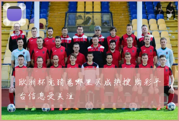 欧洲杯竞猜卷哪里买成热搜 购彩平台信息受关注