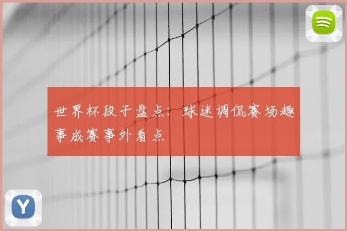 世界杯段子盘点：球迷调侃赛场趣事成赛事外看点