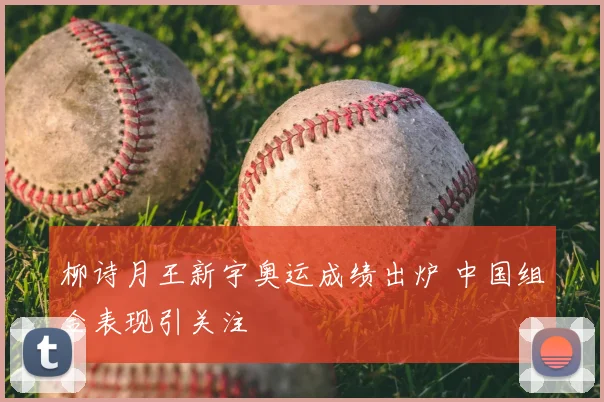 柳诗月王新宇奥运成绩出炉 中国组合表现引关注