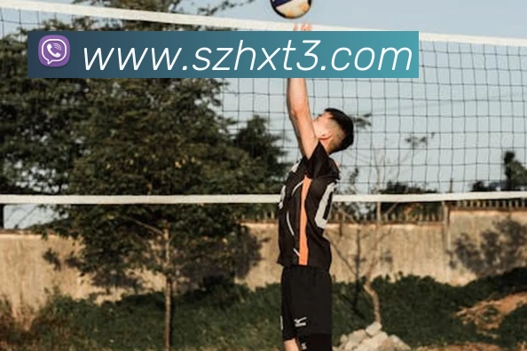 App Interface Preview